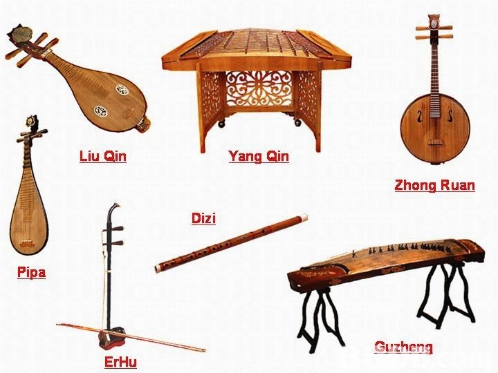 A variety of musical instruments are arranged in a row.